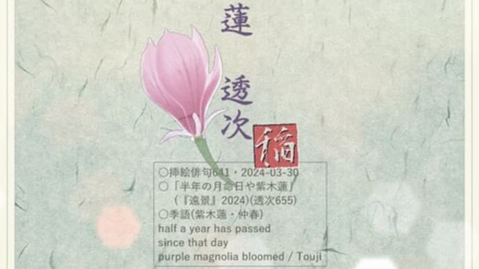 ■挿絵俳句641「半年の月命日や紫木蓮」(『遠景』2024)(鎌田透次)
