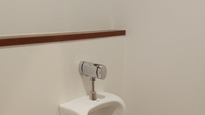 １階のトイレは念願の…