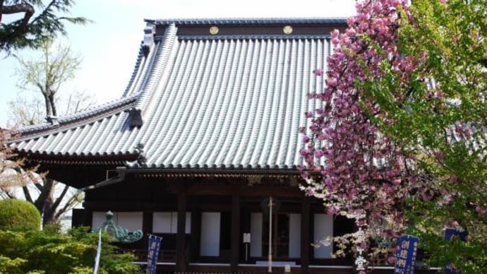 2025年 4月12日(土)の「谷中」と「上野」(2)