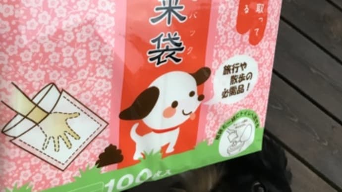 2023年からはじめること