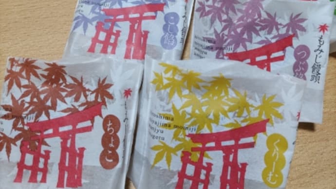 娘と一年分話す