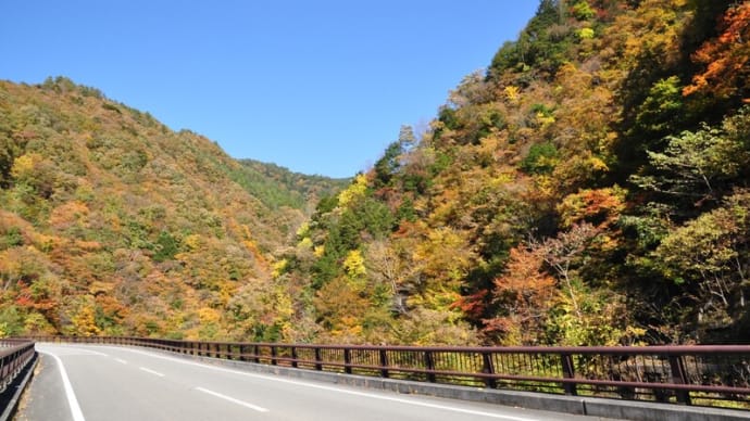 深城ダムの紅葉~大月市①