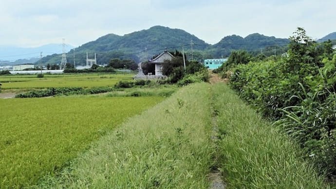 歩いてん道「古賀コース」2