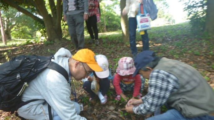 【10月2日午前中まで募集】森のムッレ教室 10月3日(土) 遠州灘海浜公園