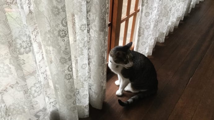 合唱祭を終えて