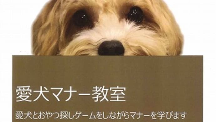 愛犬教室のお知らせ