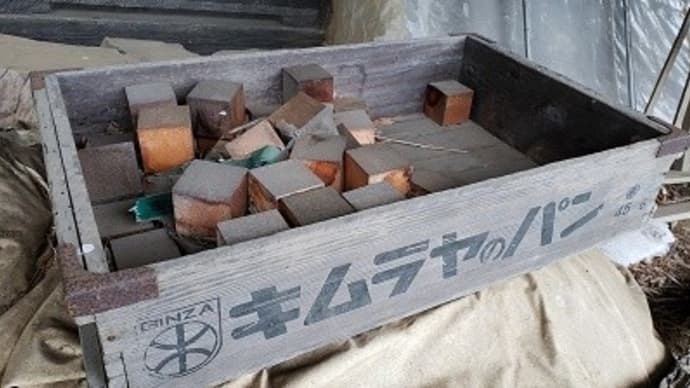もっとも、子どもも成人してますが