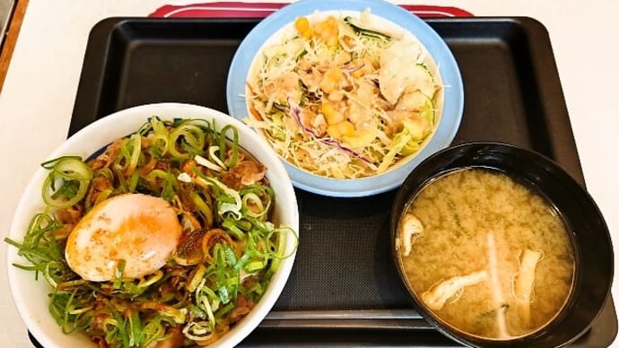 松屋（浦安駅前店）でネギたま牛めしランチセット（並盛）（2022年11月24日）