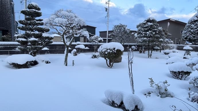 2/5雪降る中の雪かきで休足日(生きる力か…)
