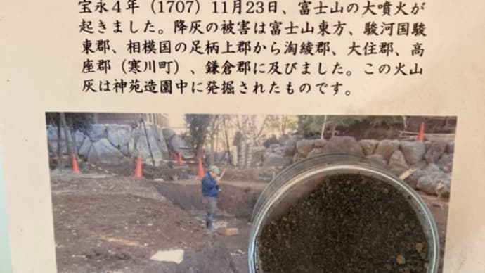 鎮・散歩その2「寒川神社」〜寒川大明神様、5000円で願いを叶えてくれますか?〜
