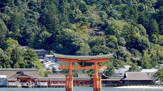「厳島神社」大鳥居のうち、一本はわが宮崎県産