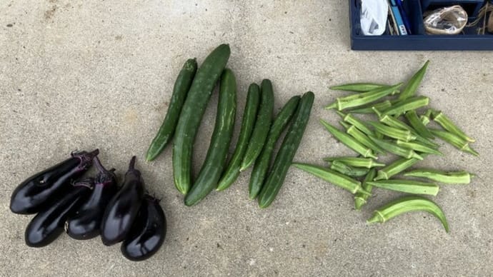 きんこ塾と野菜作り