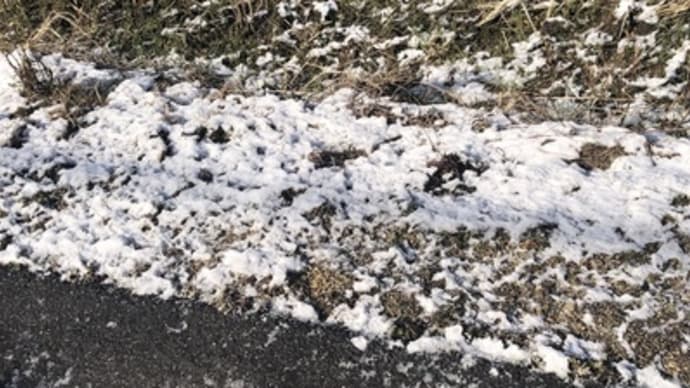 雪