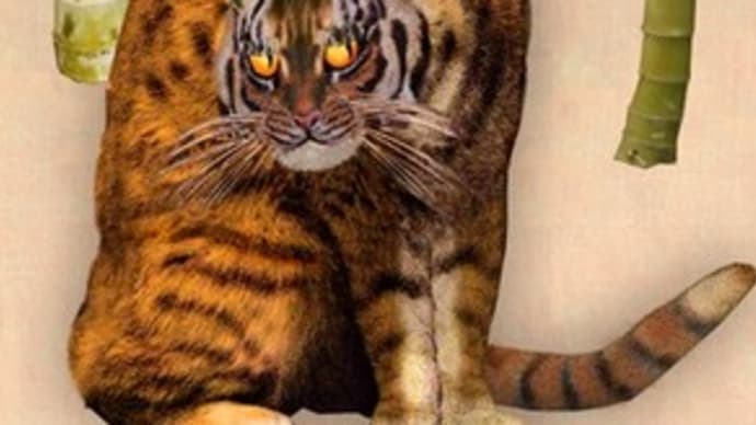 猫科の事