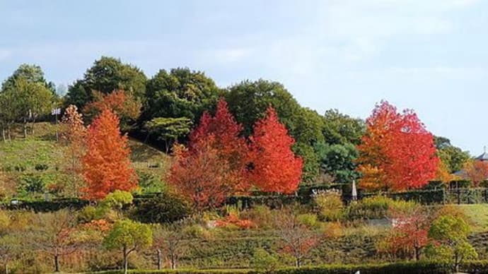 お気に入りの紅葉スポットは?