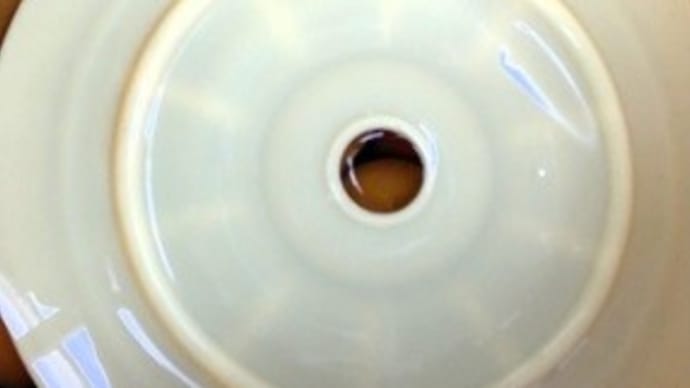 南高梅 塩漬け