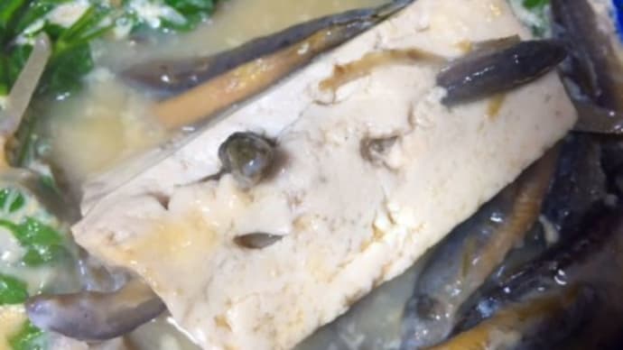 霞ケ浦から来た小父さんとドジョウ豆腐鍋の話 昭和50年代初めにこんな