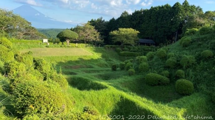 もふもふ抹茶ワッフルな障子堀の山中城