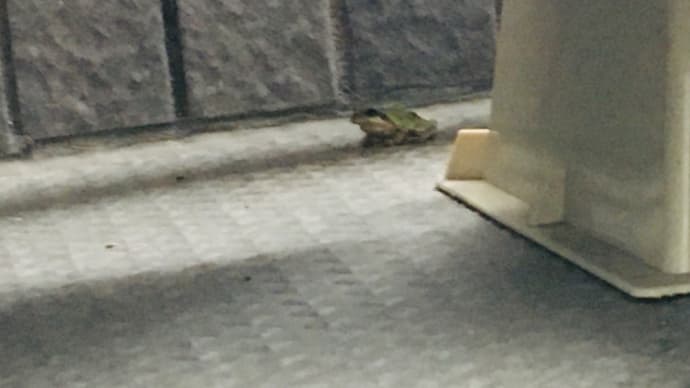達者でなぁ〜完結編。