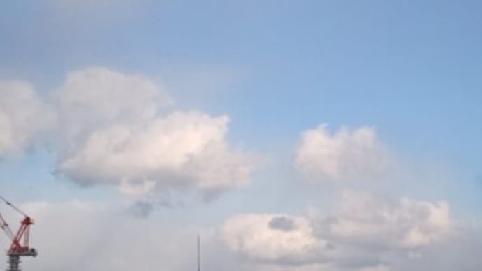 「霜柱と蝋梅の森」福岡編。博多最後の朝
