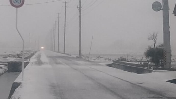 思いがけなく吹雪の日にひと仕事!!