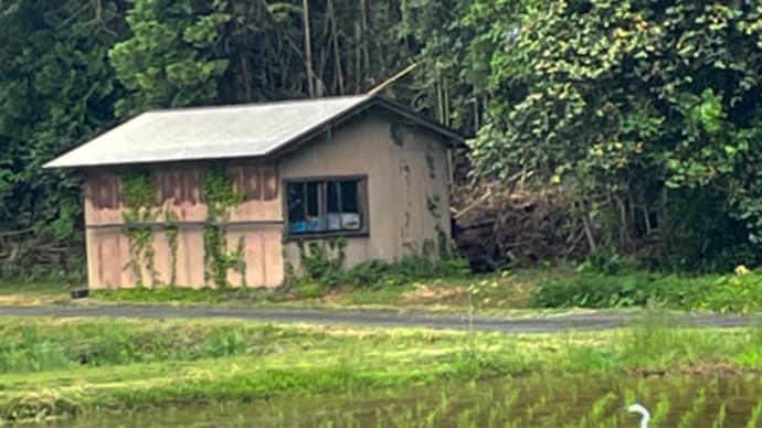 こっちの方が助かります