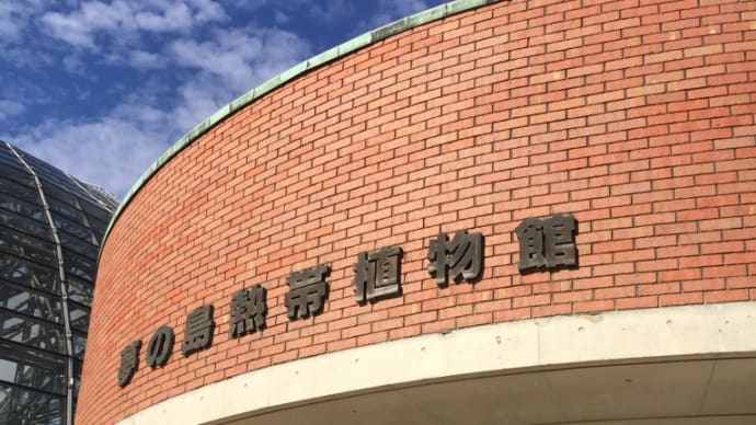 ハワイアンキルト遠足♡植物のお勉強〜！