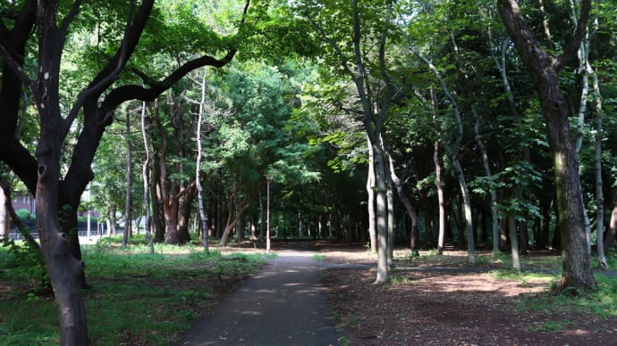久々の砧公園