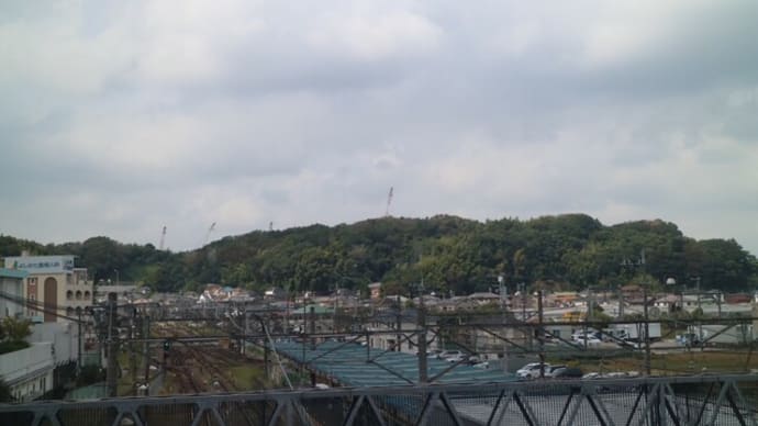 第25回ふうちゃんのお城ブログ 城めぐり再開(小机城へ)