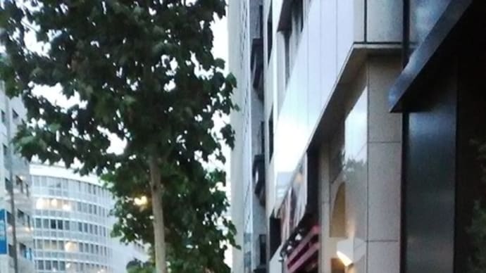 プラシーボ・ノシーボ