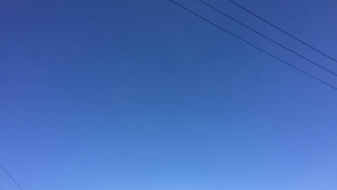 わおっ、スカイブルーだ!