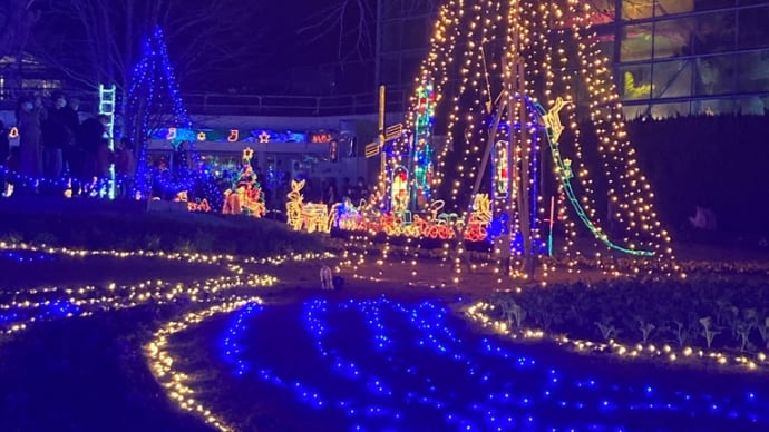 県立フラワーセンターのイルミネーション