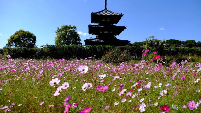 秋の法起寺にて