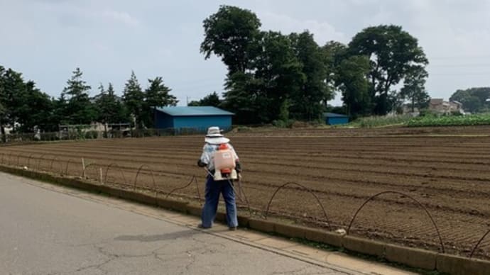 梅雨の晴れ間に除草剤散布