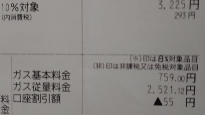 12月のガス・電気代安い!&娘の発熱状態&YouTube