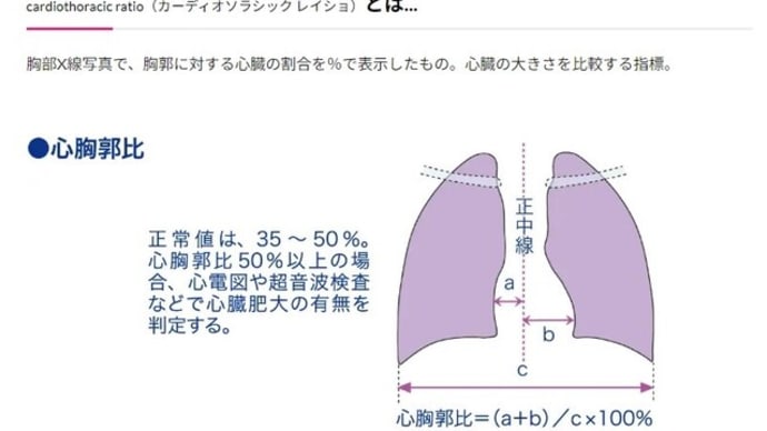 久々に体調ネタ・・・何故？赤い狐と緑のタヌキ？