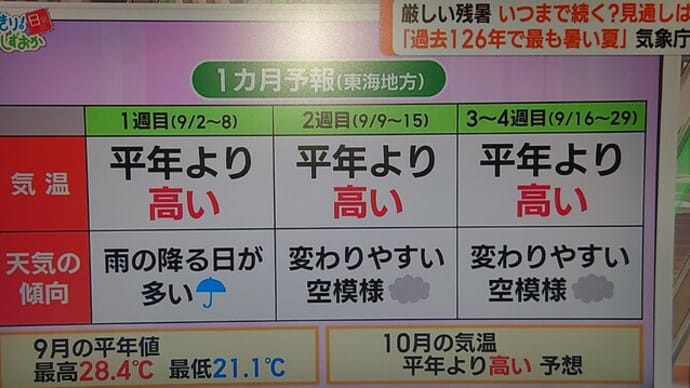 【猛暑】【残暑】【真夏日】【体調】【カラダ】【ヘルスケア】