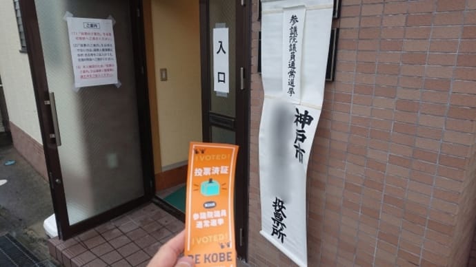 日曜日・参議院選挙投票日