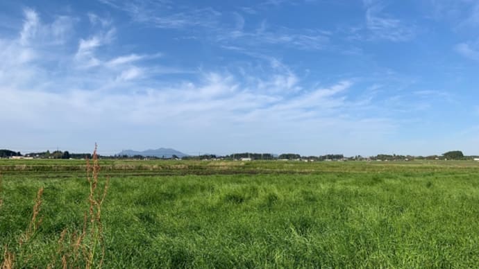 清々しい青空