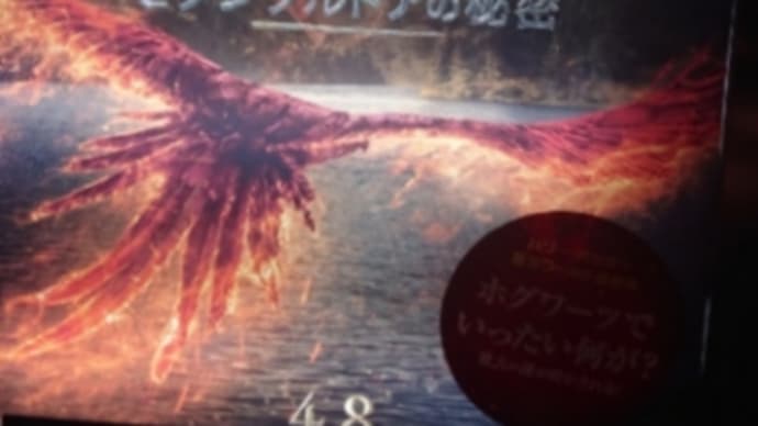 【苦悩】ダンブルドアの秘密