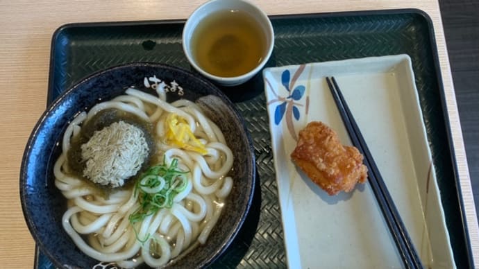 讃岐うどんはなまるでゆずとろろ昆布うどん