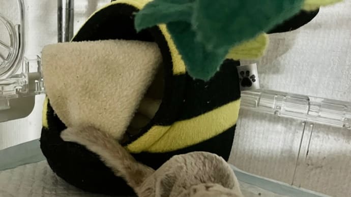 両手に………