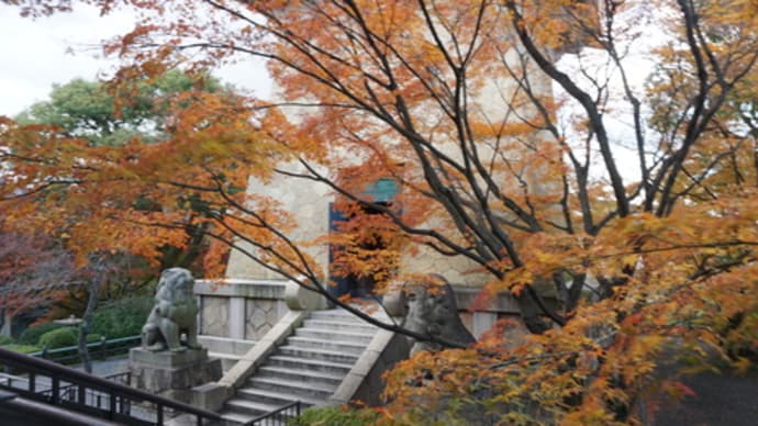 京都の風景に欠かせない存在「大雲院　祇園閣」。秋の特別公開は12月6日まで急いで～