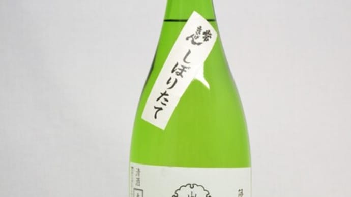 常きげん 山廃純米生原酒入荷中です