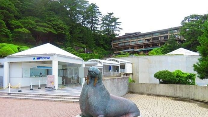 城崎マリンワールド DIVEでフィッシュダンス