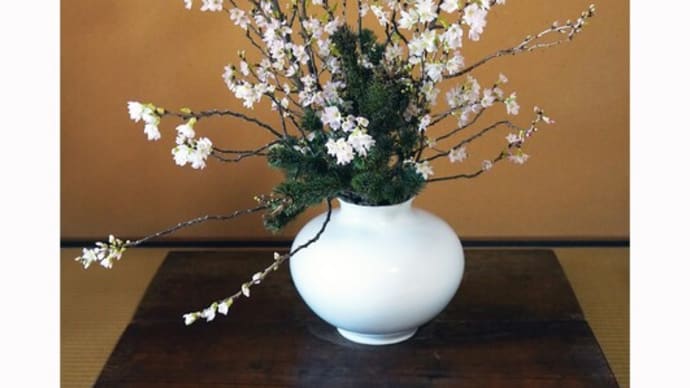 待たるる花│花信