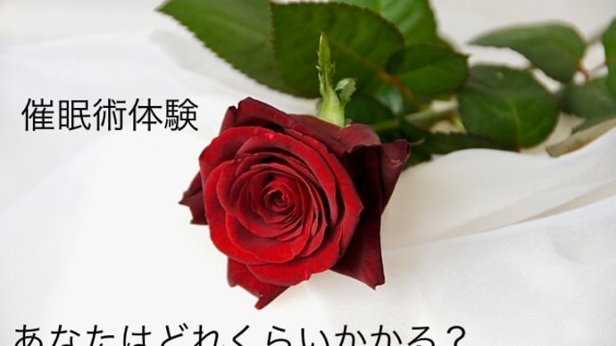 心の休日 Vol.13 出展者情報 エムエム