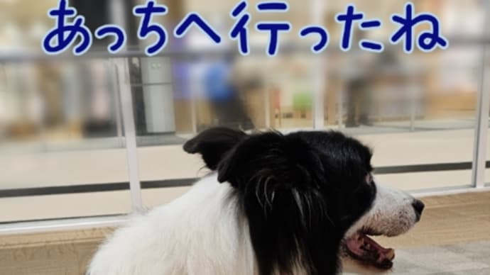 おつきあいありがとう