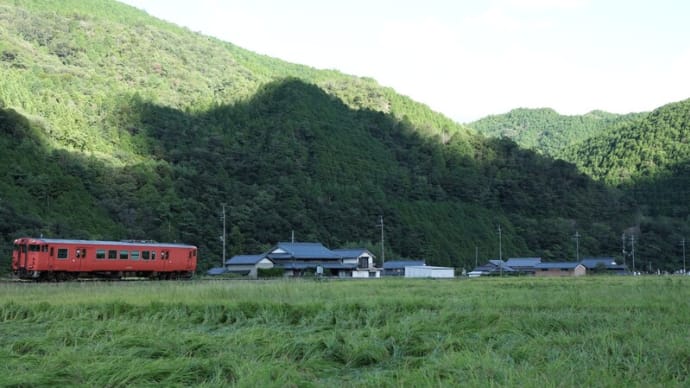 駐車した位置から