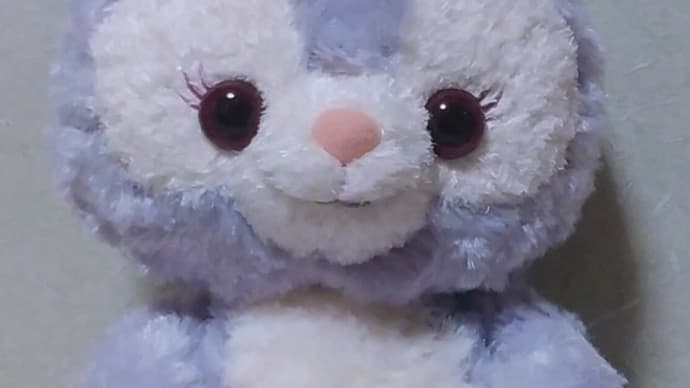 愛しのステラ・ルーちゃん❤上海ディズニーのパジャマを着たよ!